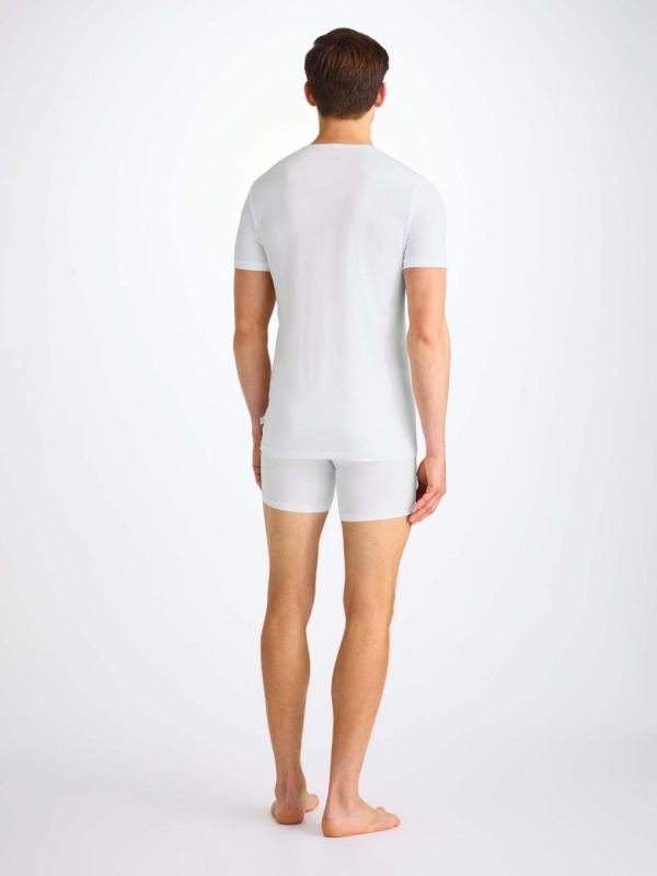 Dianegregory.shop93c513f5cb 4